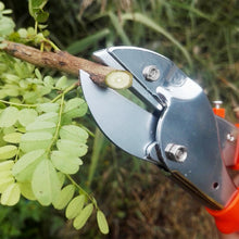 Professional Garden Scissor