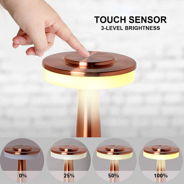 LED Lamp with Touch Control